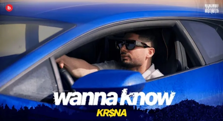 Wanna Know Lyrics - Kr$na